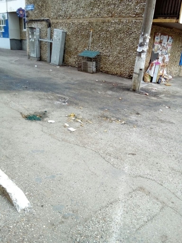 После вывоза мусора остается беспорядочно разбросанные остатки (Островского,4)